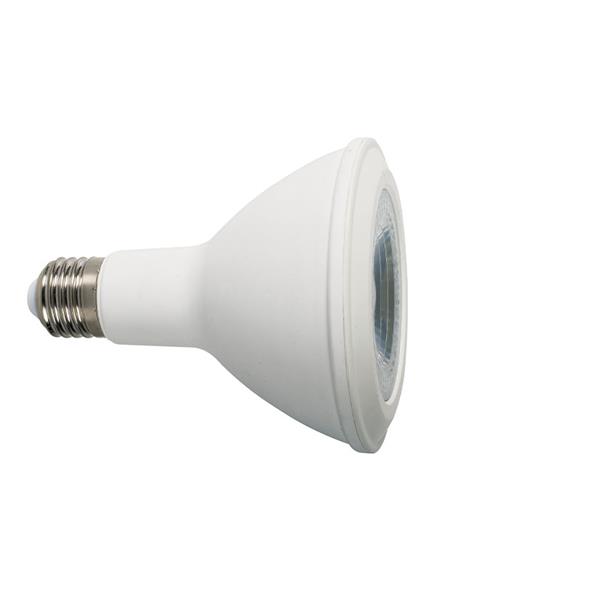 L&aacute;mpara Led DUOLEC PAR 30