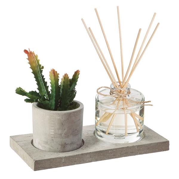 Caja aromas + planta 20x10 cm.