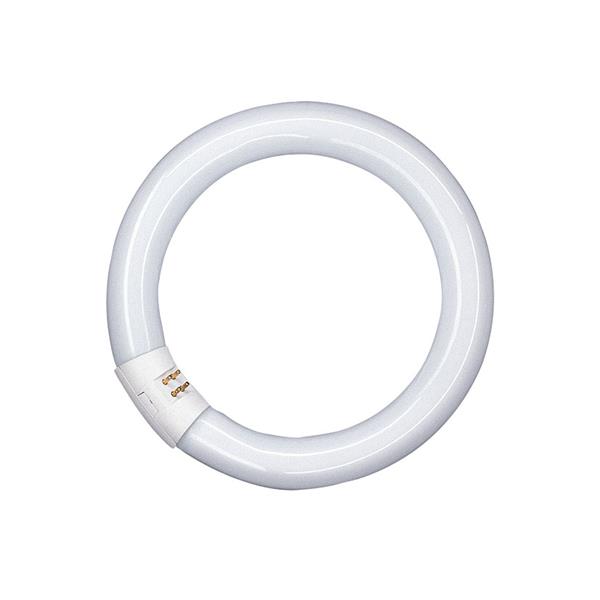FLUORESCENTE CIRCULAR T9 22W/865 12 UNID