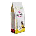 Pienso para perros tama&ntilde;o medium o maxi 