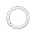 FLUORESCENTE CIRCULAR T9 22W/865 12 UNID