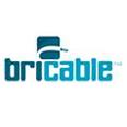 BRICABLE